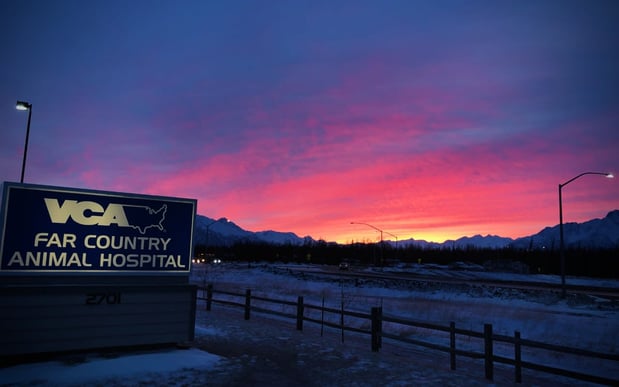 Images VCA Far Country Animal Hospital