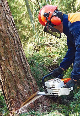 Images Huffstetler Tree & Lawn Services Inc.