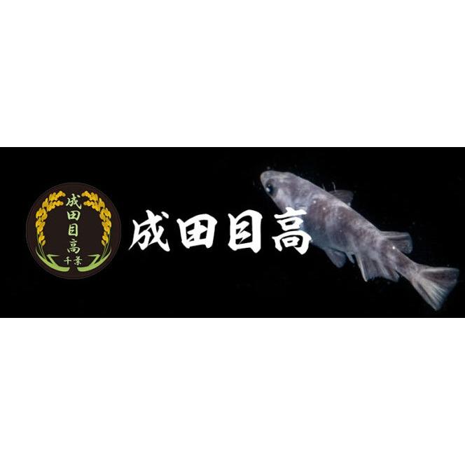 成田目高 Logo