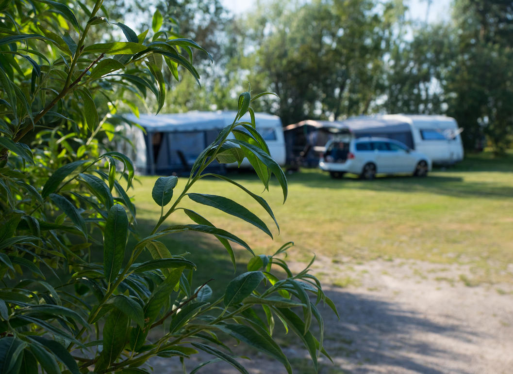 Images Stenåsa Stugor & Camping