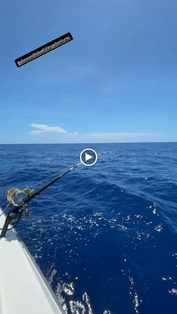 Images Above & Below Fishing Adventures - Key West & Lower Keys Fishing Charter