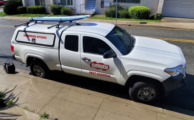 Images Dewey Pest & Termite Control