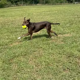 Sniffspot Yolistone Image