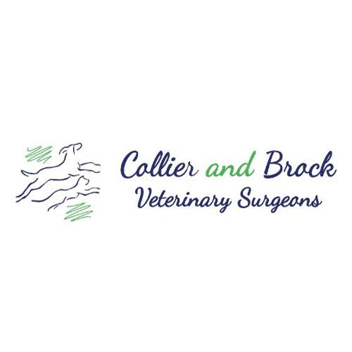 Images Collier and Brock Vets, Irvine