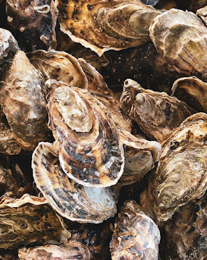 Images Indomito Ristoro