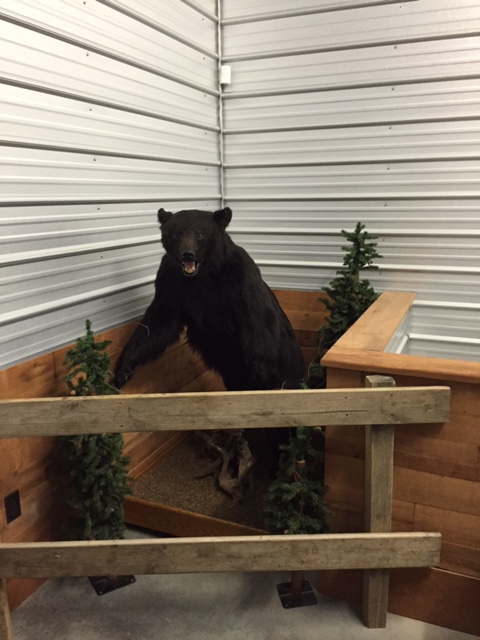 Right to bear coupon code
