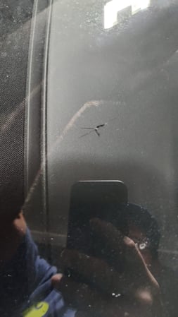 Images Skyview Auto Glass Flat Rock