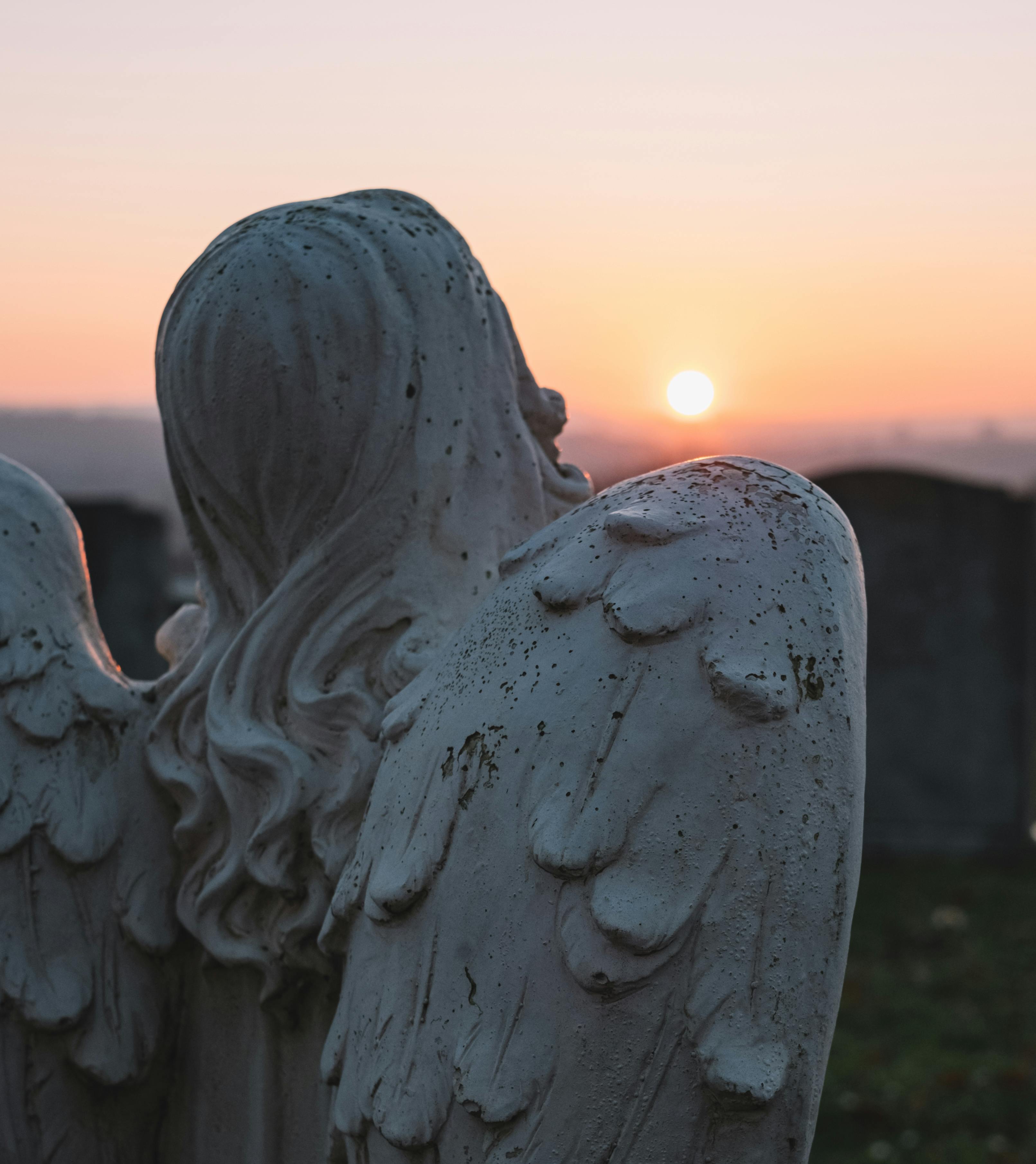 Bilder Laure Fasel