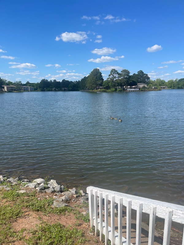 Images Lake Vista