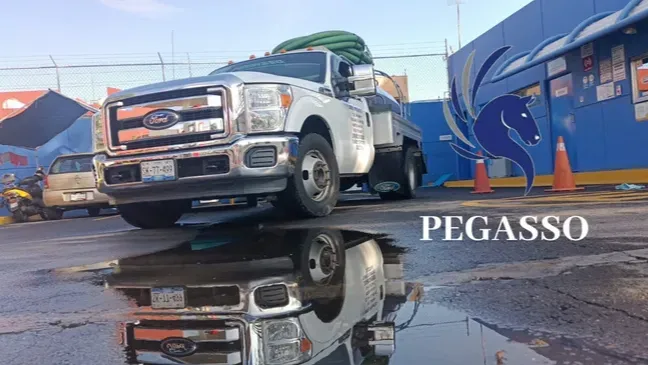 Images Pegasso