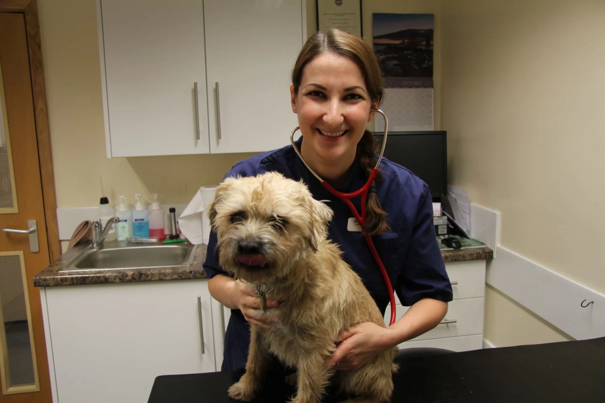 Images 387 Veterinary Centre