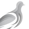 Pheasant Energy Logo