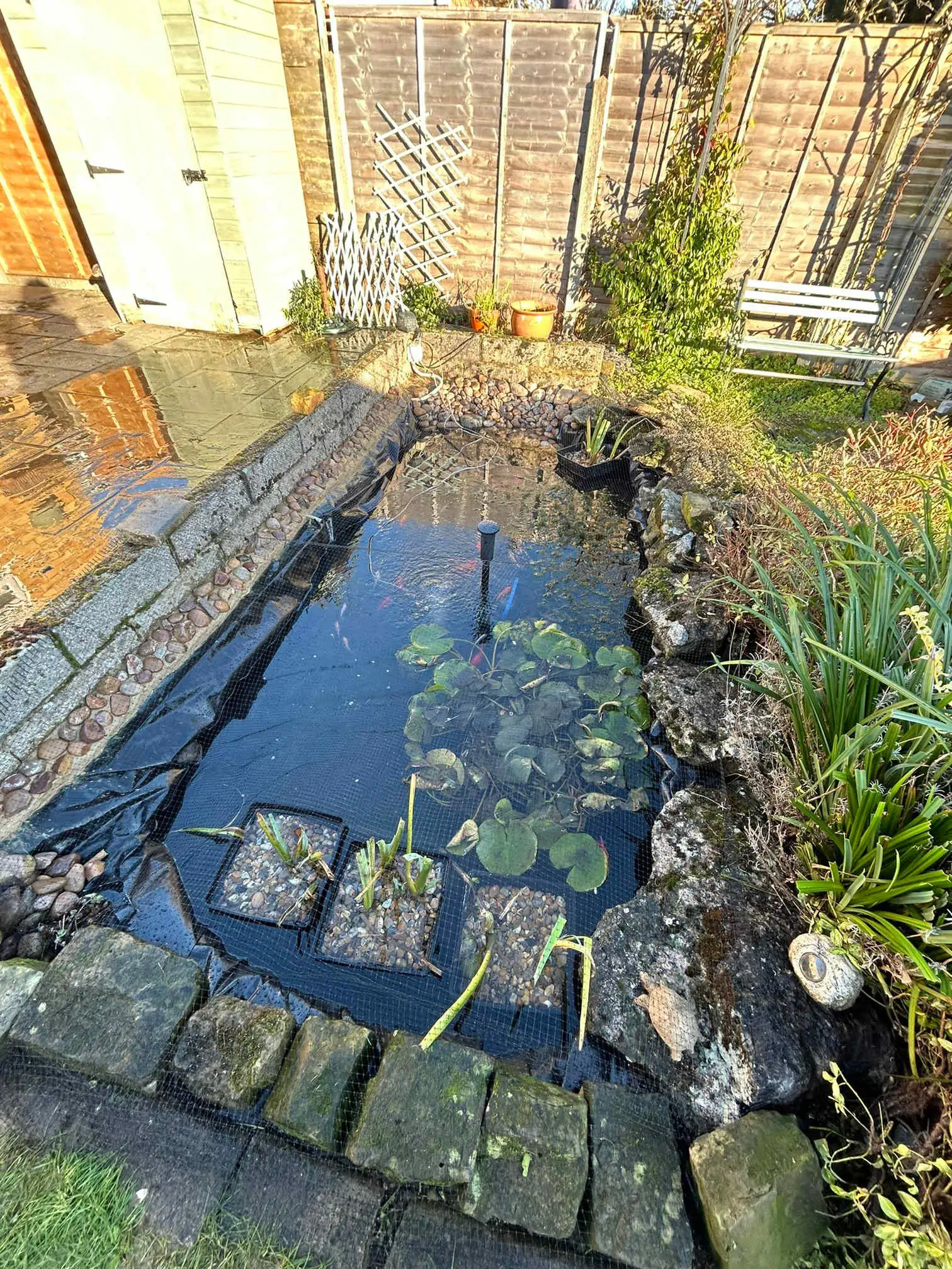 Images SJH Ponds & Aquariums