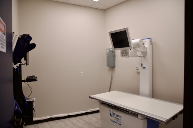 Images VetExpress Animal Urgent Care