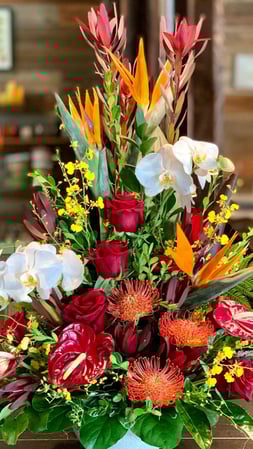 Images Flower Imagination