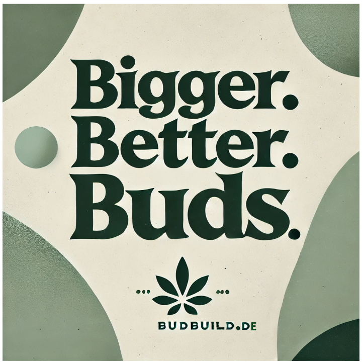 BudBuild in Braunschweig - Logo