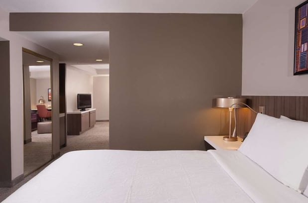 Images Hilton Garden Inn Atlanta Airport/Millenium Center