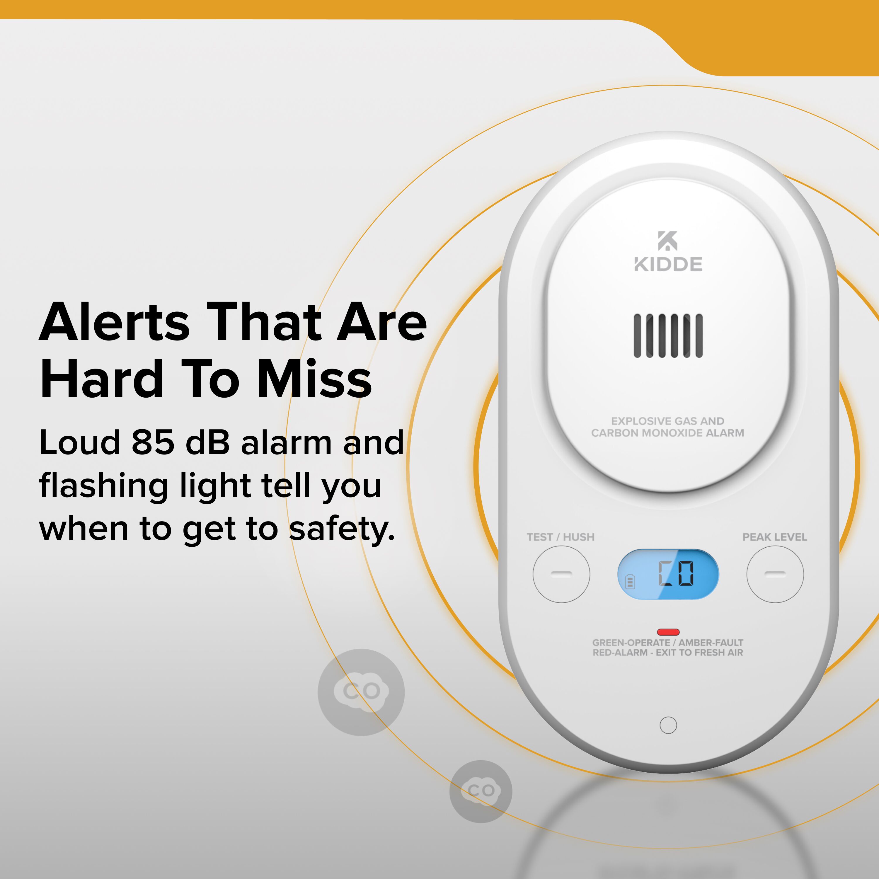 Explosive Gas & Carbon Monoxide Alarm, Plug-In with AA Backup