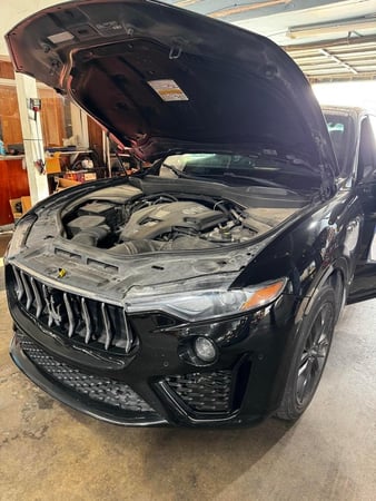 Images Texas International Motors - European Auto Repair