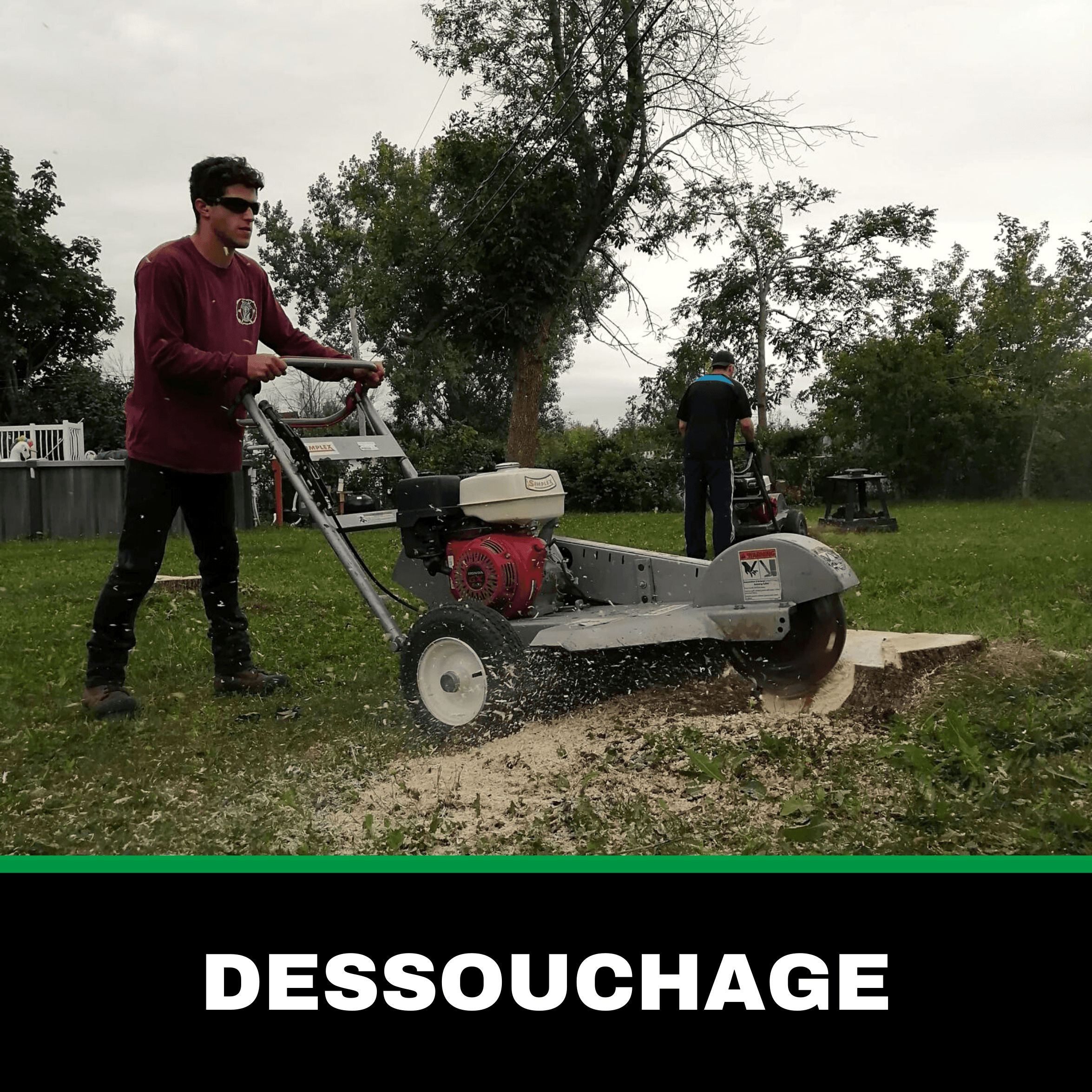 Images Émondage SX - Élagueur Sainte-Catherine