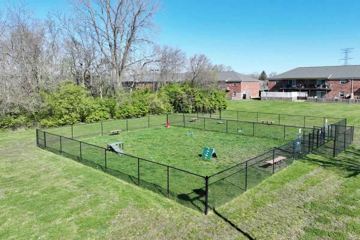 Dog Park