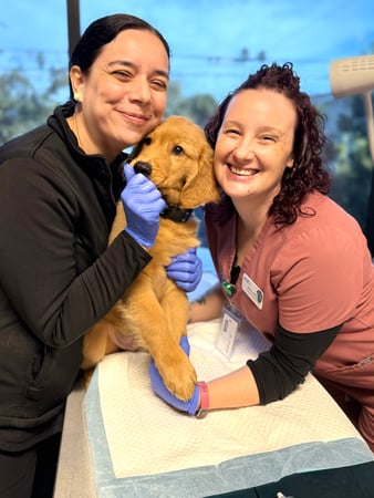 Images VCA West Los Angeles Animal Hospital
