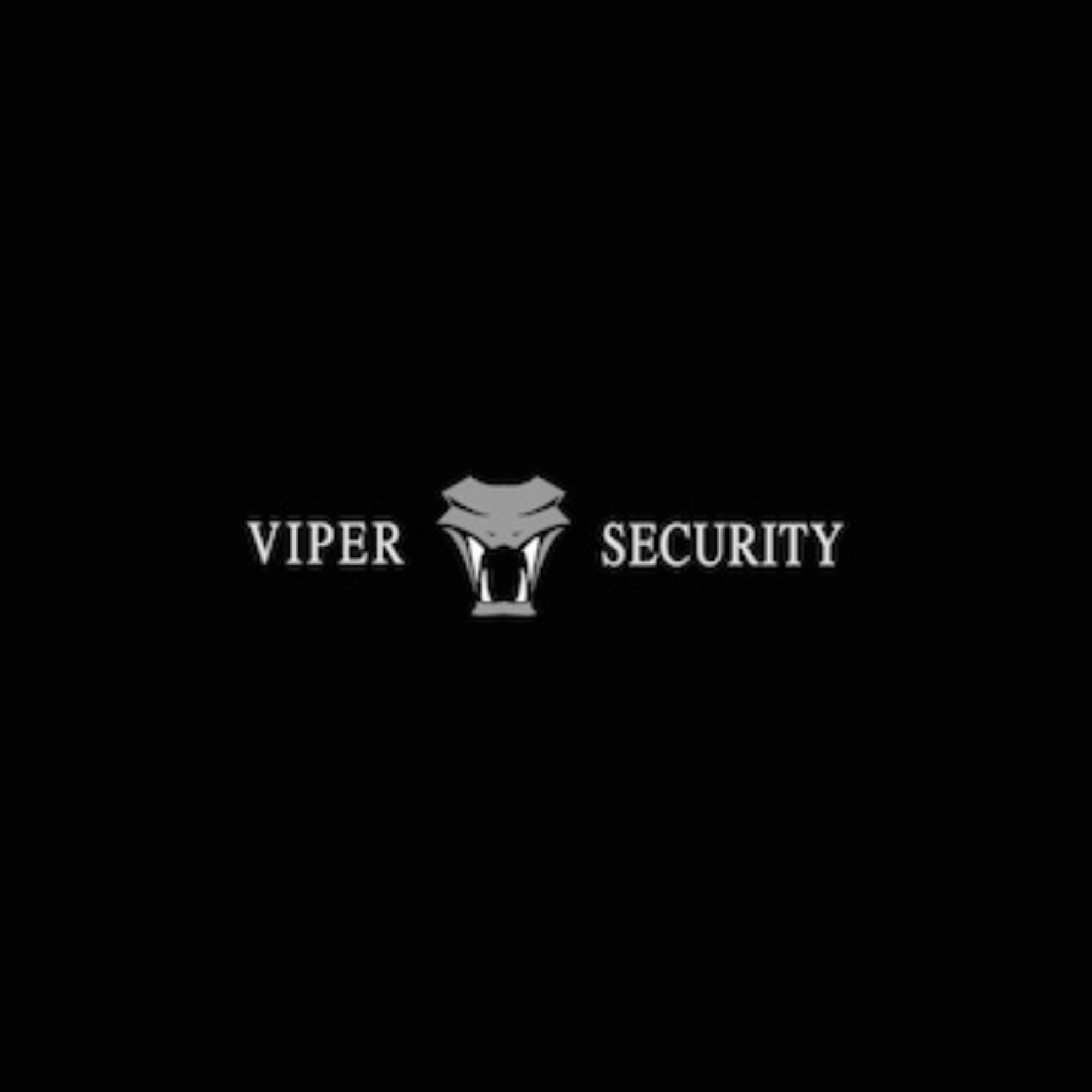 Viper Security Inc