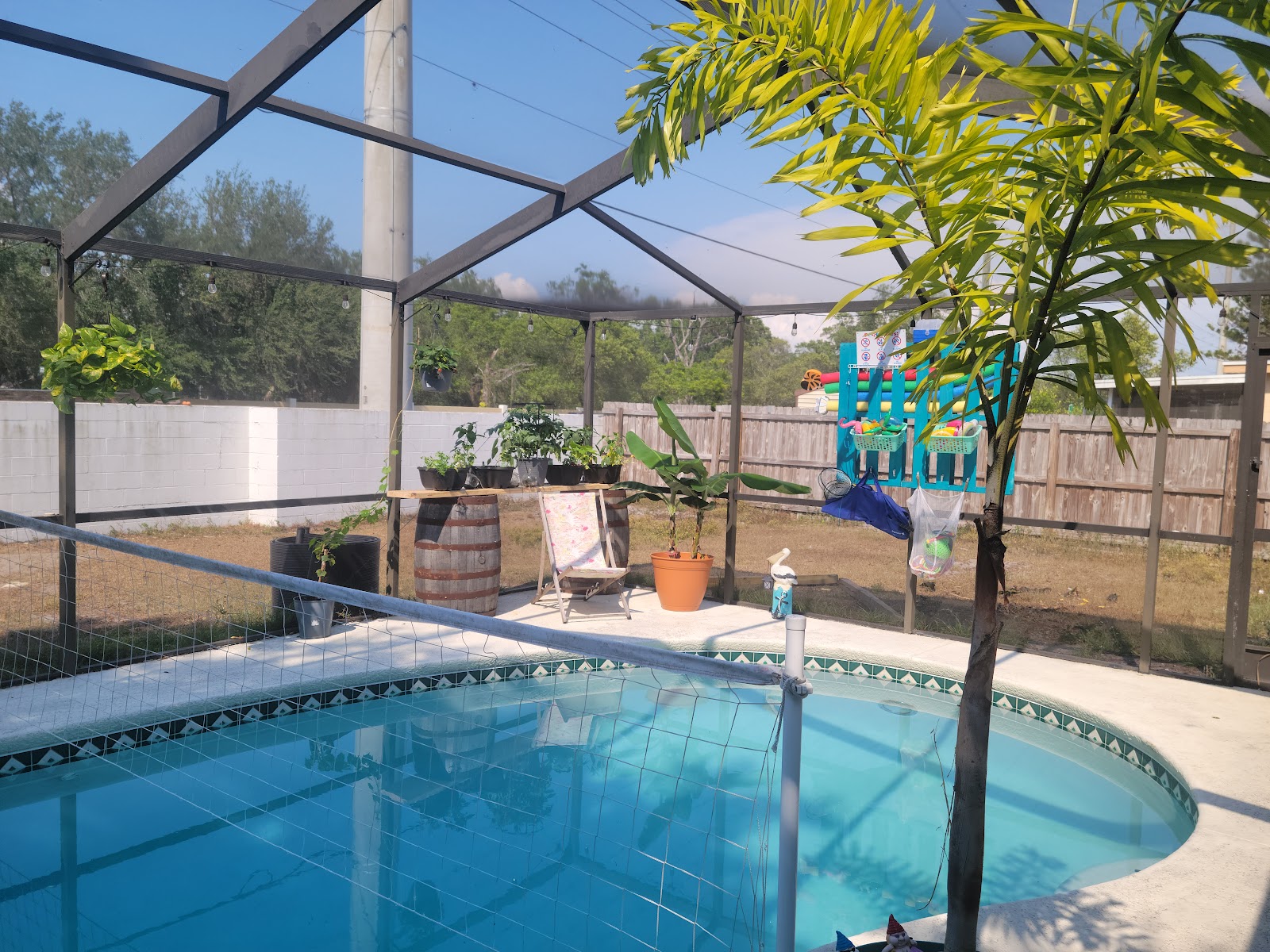 Screen-enclosed residential swimming pool with clear blue water, tropical landscaping, patio seating, and a private backyard.