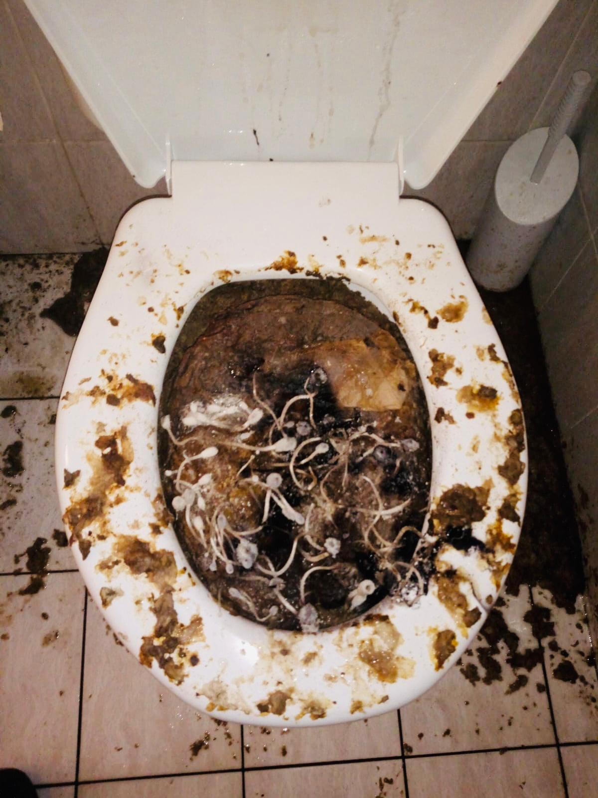 Bilder DSP Canalizzazioni Sagl
