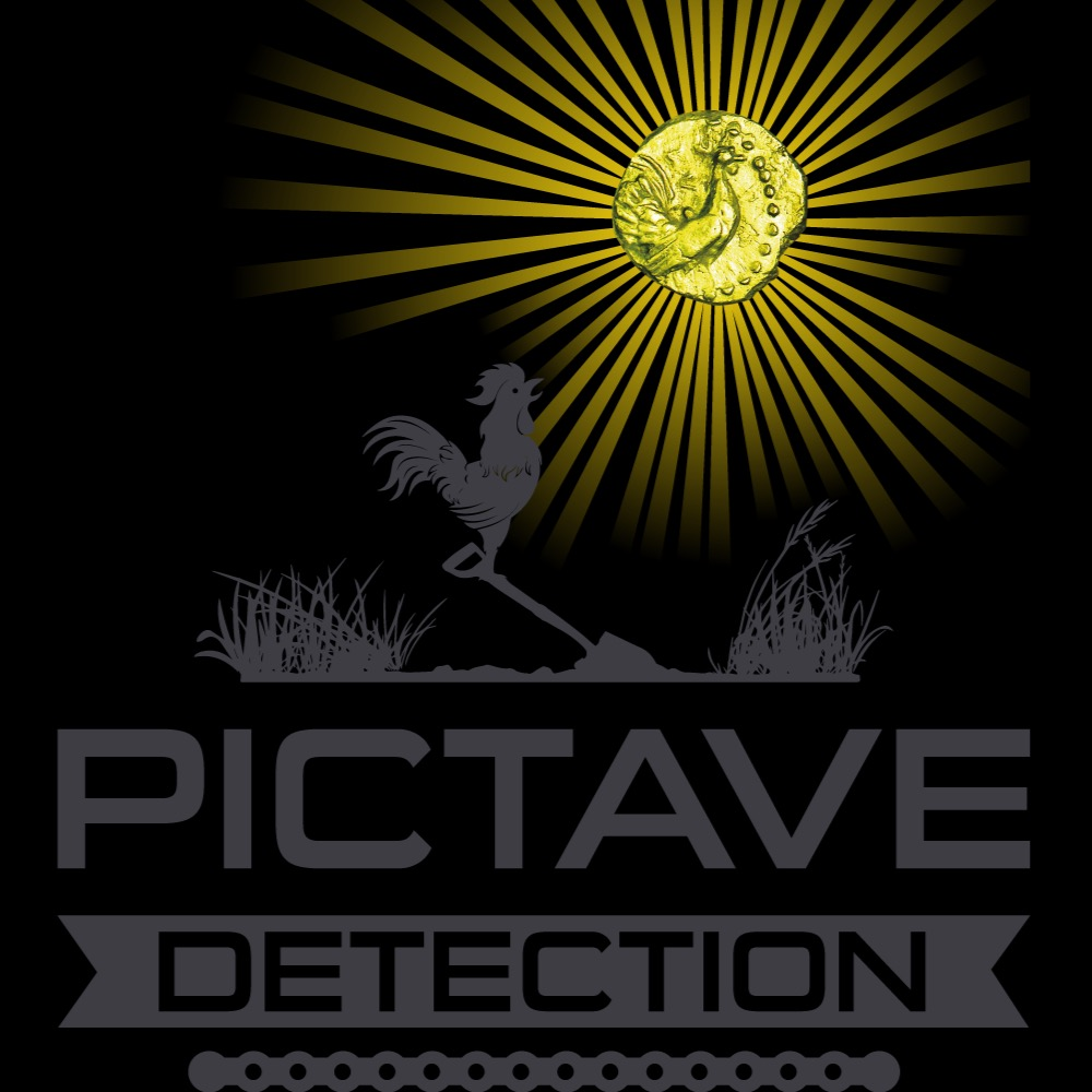 PICTAVE DETECTION ROYAN Logo