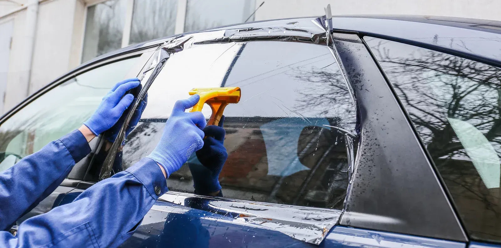 Kool Kactus Tint Image