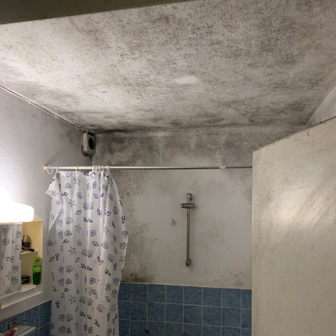 Bilder MK Trocknungsservice