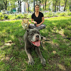 Images Downtown Brooklyn Pet Care