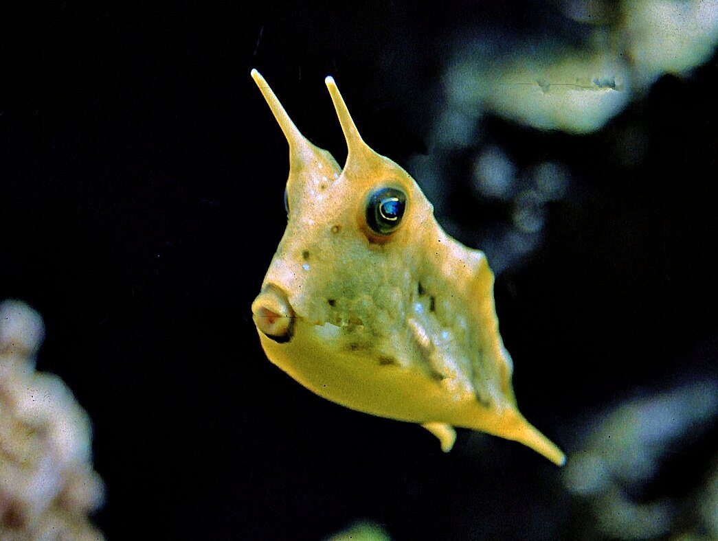S&L Naturverlag, Bergrat-Mahr-Straße 17 in Ilmenau