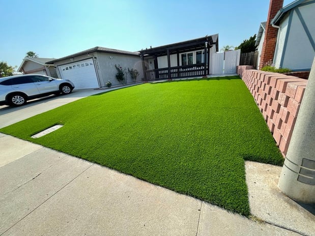Images Best Green Grass