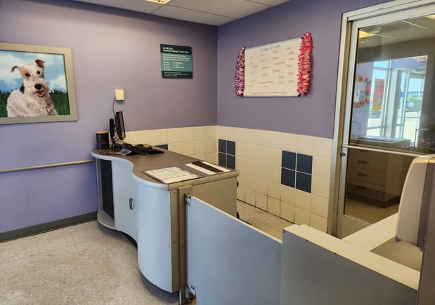 Images Petco Grooming