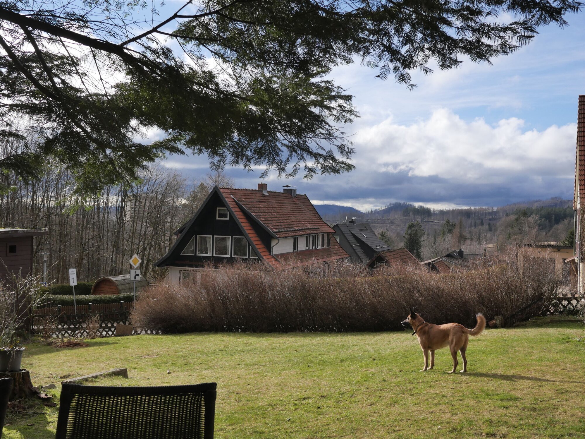 Ferienhaus im Bergdorf Hohegeiß, Wilhelm-Raabe-Straße 9 in Braunlage