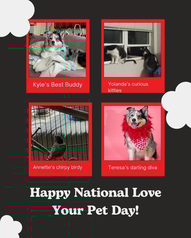 Images Teresa Chapman - State Farm Insurance Agent