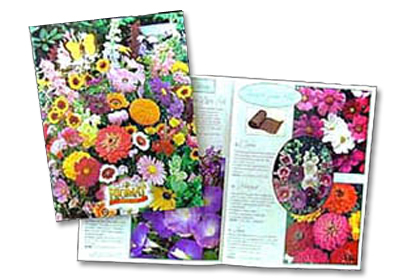 Catalog Design and Printing -  Here at HJ Design, we are a unique collection of graphic communications specialists with a remarkable range of individual expertise and experience in printing, imaging and information rendering of all types. We will make sure your next print communication is attention grabbing and action inspiring.