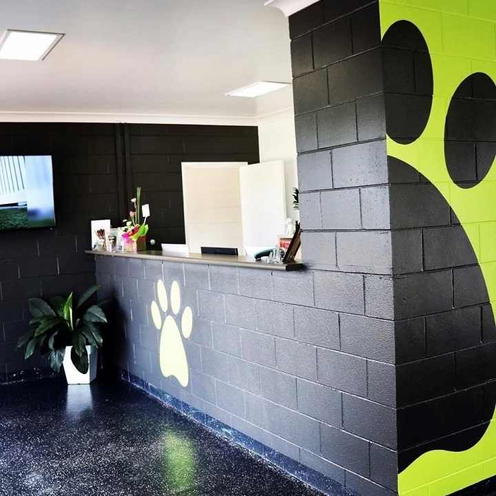 Images Paw Park Pet Resort