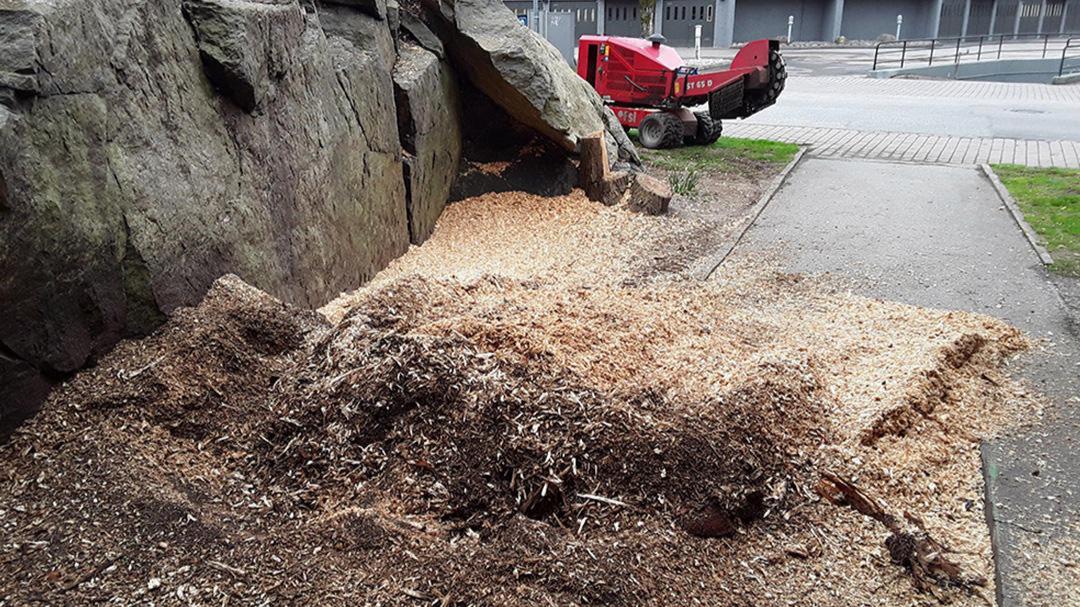 Images Full Fräs Hanssons Stubbfräsning