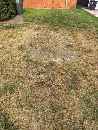 Images Abracadabra Stump Grinding