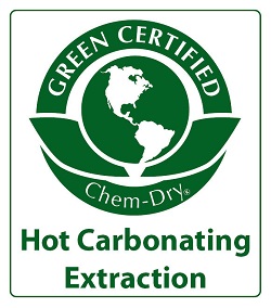 Images Ivy Green Chem-Dry
