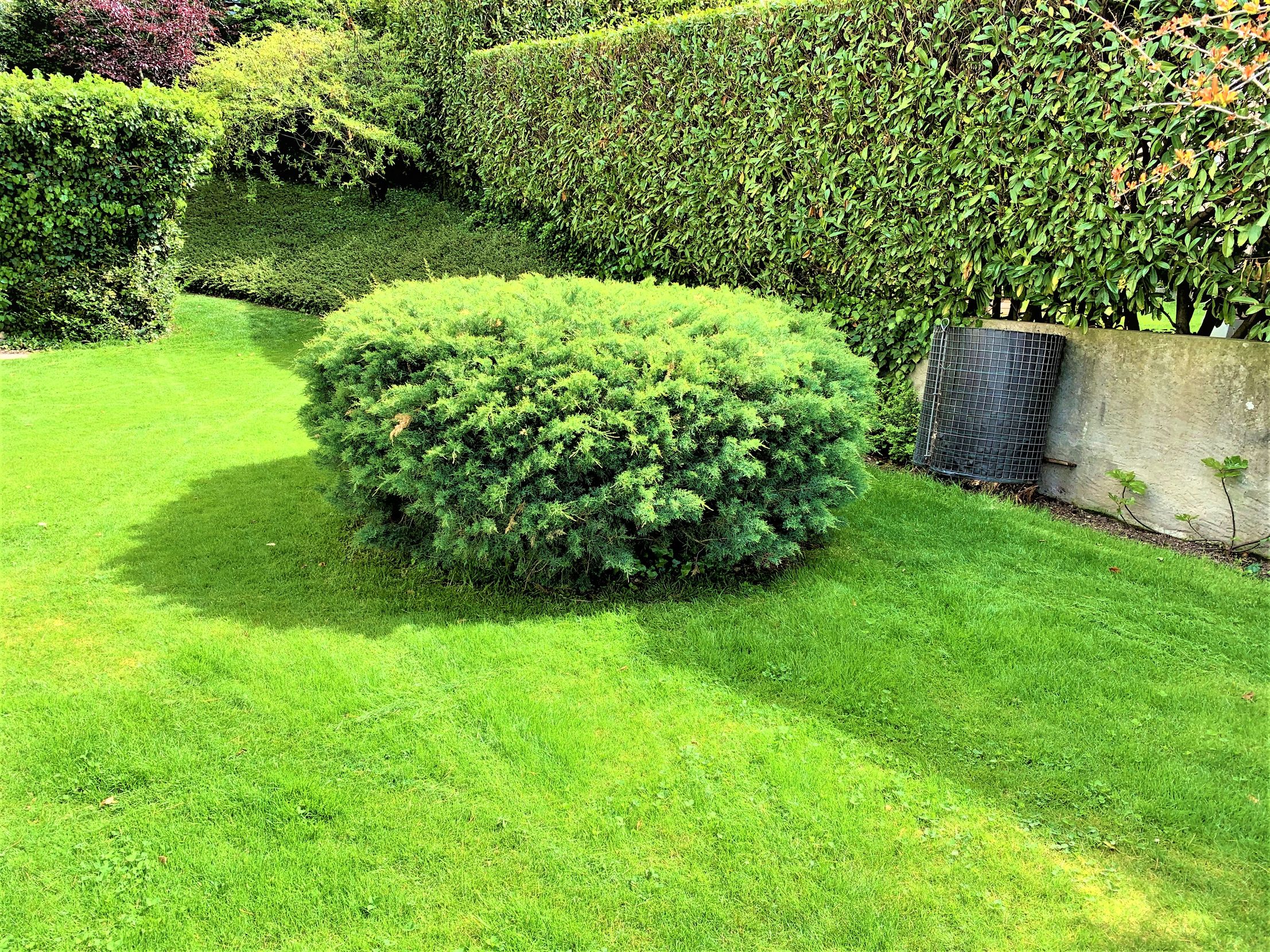 Bilder MD qualité services