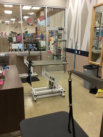 Images Petco