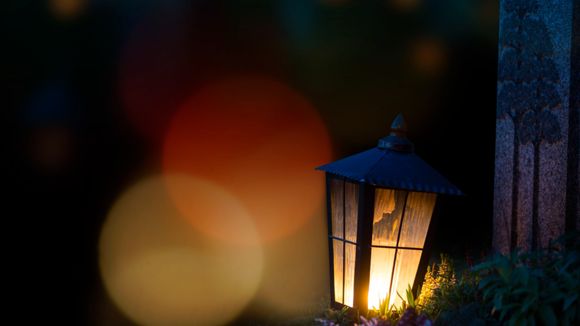 Images Kukka- ja hautauspalvelu K. Kreivi-Lampela