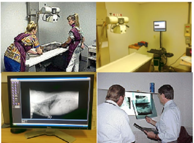 Images Gateway Animal Hospital