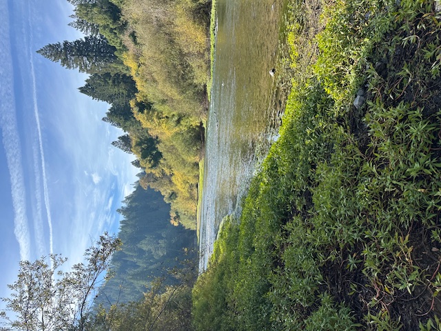 Images Vitality Center