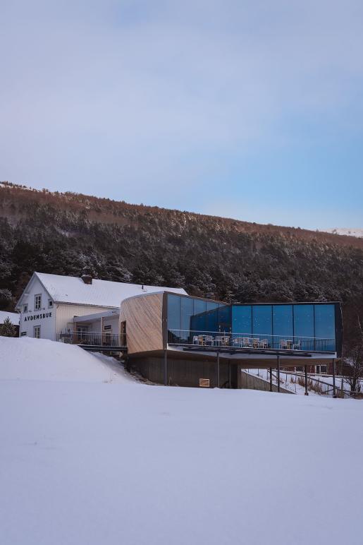 Images RAM arkitektur as