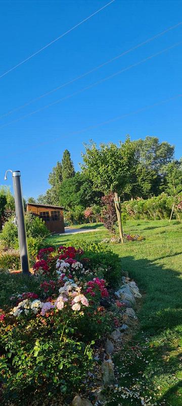 Images Bosi Tonino "Il Giardiniere"